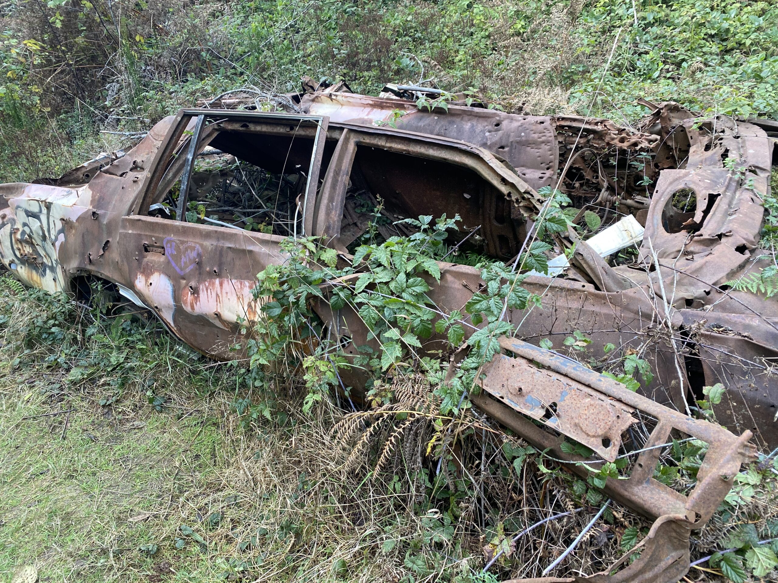 Alternate artsy by Dave – car decay